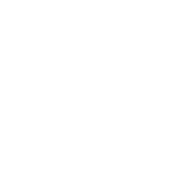 corazon icono