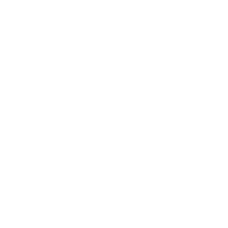 confianza icono